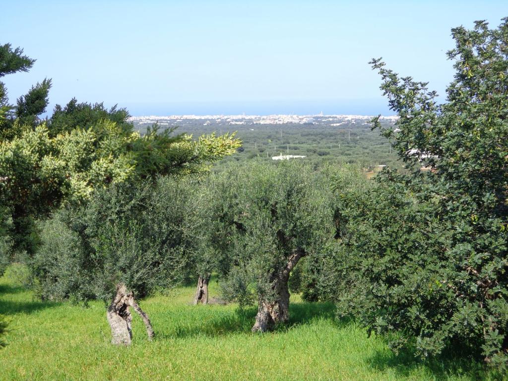 Alla Panoramica Monopoli Exterior foto